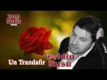 Download Lagu Ovidiu Rusu - Un Trandafir, 2017
