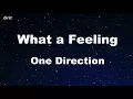 What a feeling - One Direction Karaoke 【No Guide Melody】 Instrumental