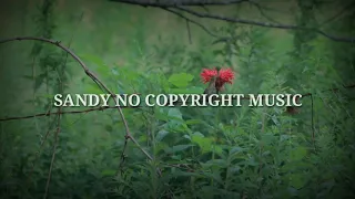 no copyright music music tubidy mp3 sleep music meditation music sandy no copyright music