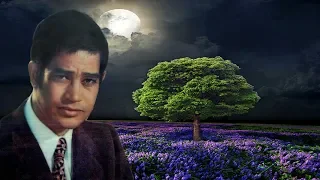 تعب القلوب محرم فؤاد 