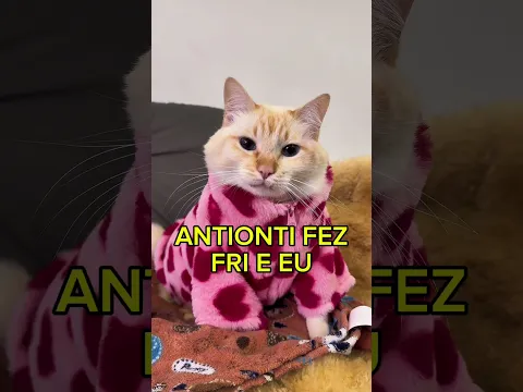 ANTIONTI FEZ FRI 🥶