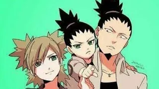 لولا تدخل شيكامارو لكنا لم نرا تيماري أو شيكاداي 