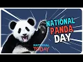 Top 3 Holidays You Can t Ignore on March 16th National Today