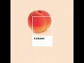 TOPAMI