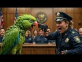 Police vs Parrot Showdown: 🦜 Who Wins in Court? 😂 Epic Funny Moments #TalkingParrot