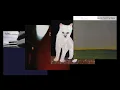 Duster | Sleep Mix