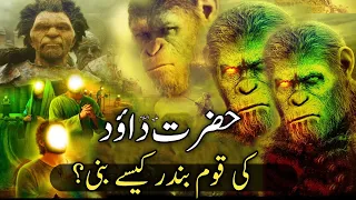 how did the people of hazrat dawood as become monkeys hazrat dawood as ka waqia qasasulislam