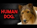 Download Lagu Toco, de menselijke hond (Verontrustend)..