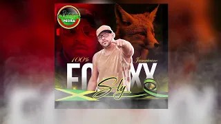 cd sly foxx 2025 limpas atualizadas 