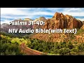 Psalms 31-40 NIV Bible with text