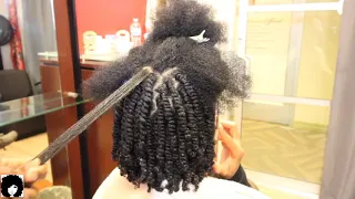 1 million views BEST how to Two Strand Twists done on damp hair lasts 3-5 weeks