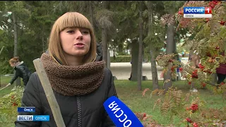 В Омске прошел экологический субботник