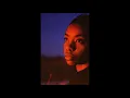 Dua Saleh - bankrupt