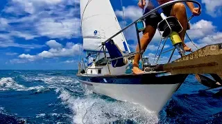 Nicaragua: Sweet Dolphin Sailing [Adventure #144]