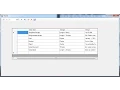 How to Embed Database file into Visual Basic Net