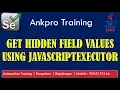 Selenium with Java 52 - How to get Hidden Field values using JavascriptExecutor interface
