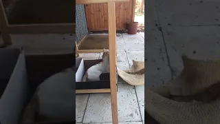 Albi S Morning Routine 