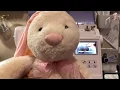 PE800 Tutorial Bunny Ears