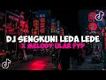 Download Lagu DJ SENGKUNI LEDA LEDE X MELODY ULAR VIRAL TIKTOK YANG KALIAN CARI