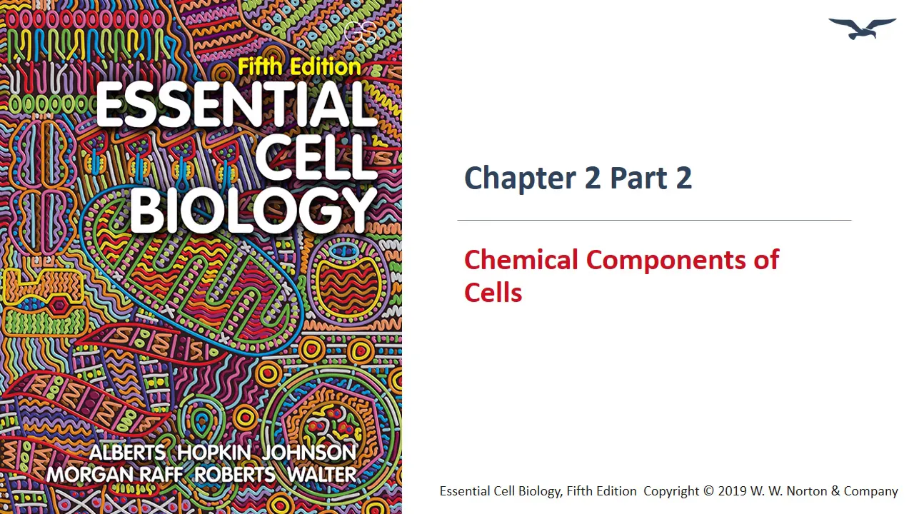 (BC PCB 3023) Chapter 2 Chemical Components of Cells Part 2