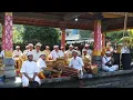 Download Lagu pesona gong duwe dalam ritual dewa yadnya di pura dalem desa banyuatis #bali #balineseculture