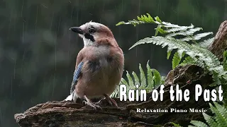 rain of the past relaxation piano music copyright by laville 