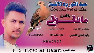 الفنان عبد النور ود الاشبه ياقمري ماتقوقي 
