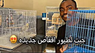 يومي مع الطيور 2 