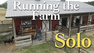Running the Farm Solo | A Day in the Life | Sunup to Sundown