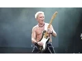 Download Lagu Billy Idol - Mony Mony – Outside Lands 2015, Live in San Francisco