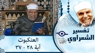 الشيخ الشعراوي تفسير سورة العنكبوت آية ٢٨ ٣٧  الشيخ الشعراوي تفسير سورة العنكبوت آية ٢٨ ٣٧