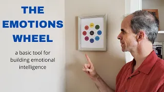 The Emotions Wheel - a basic tool to build emotional intelligence in leadership