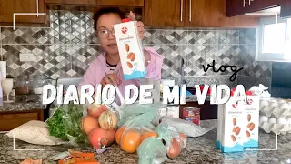 Diario de mi vida | Microondas nuevo, cambios en el área de lavado, compra del súper