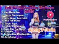 ALBUM PILIHAN TERBARU 2025 || AJENG FEBRIA || AUDIO JERNIH HD
