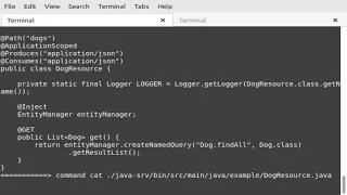 Programming java maven quarkus h2 api