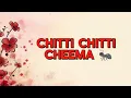 Chitti Chitti Cheema  (Lyrics ) - Aakasamlo Oka Tara | Dulquer Salmaan | GV Prakash Kumar