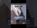 Download Lagu Dangerous Skins #azurlane #memes #yostar #anime #shorts #short #shortsvideo