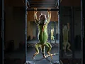 Download Lagu This Iguana Trains Harder Than Me💪 #aishorts #creature #workout