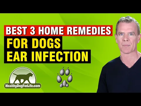 Download MP3 Dog Ear Infection Home Remedy (3 NATURAL Ways That WORK)