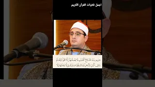 الشيخ محمود الشحات انور  الشيخ محمود الشحات انور