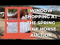 Visiting the 2023 Spring Dixie Auction in Troutman NC