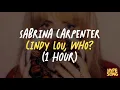 Download Lagu SABRINA CARPENTER - SANTA DOESNT KNOW YOU LIKE I DO (1 HOUR)