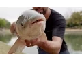 Desert Gold - Find Your Water Episode 3