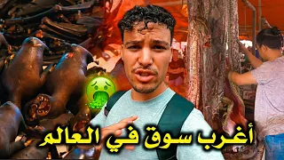 هنــا يــأكلـون الأفـاعــي والـكـلاب والـقطـط والخـفافـيش أغـرب سـوق فـي الـعالـم 