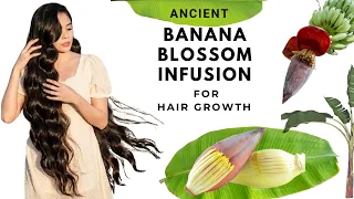 How To Use the Ancient Banana Blossom Hair Growth Secret | Longer, Thicker Hair Naturally