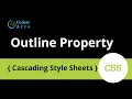 10 Outline Property in CSS CSS Tutorial For Beginners