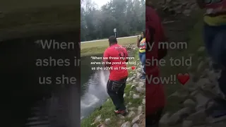 Ashes Spell Out Love On Being Scattered In Pond 1293844 