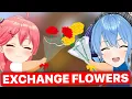 Download Lagu MiComet Give Flowers To Each Other (Sakura Miko \u0026 Hoshimachi Suisei / Hololive) [Eng Subs]