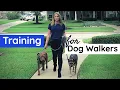 Training You NEED to be a Dog Walker