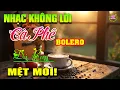 Download Lagu 19/10/2025 Mở Nhạc Này Làm Việc Hiệu Quả | Hòa Tấu Rumba Guitar | TOÀN BÀI HAY